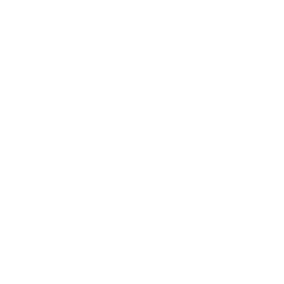 ADJUSTABLE BRIGHTNESS