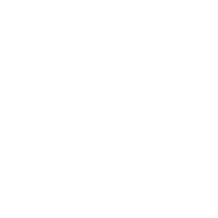 MOTION ACTIVATED