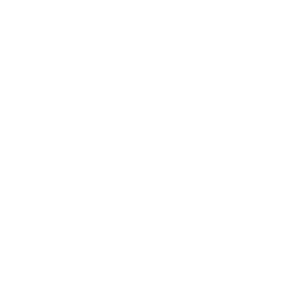 AUTO MOTION DETECTION