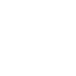 DUAL MODE CONTROL